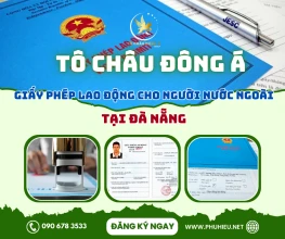 Xin giấy phép lao động cho người nước ngoài tại Đà Nẵng